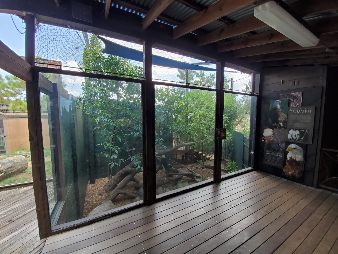 Jul. 2019 - Children's Zoo - Southern Bald Eagle Exhibit