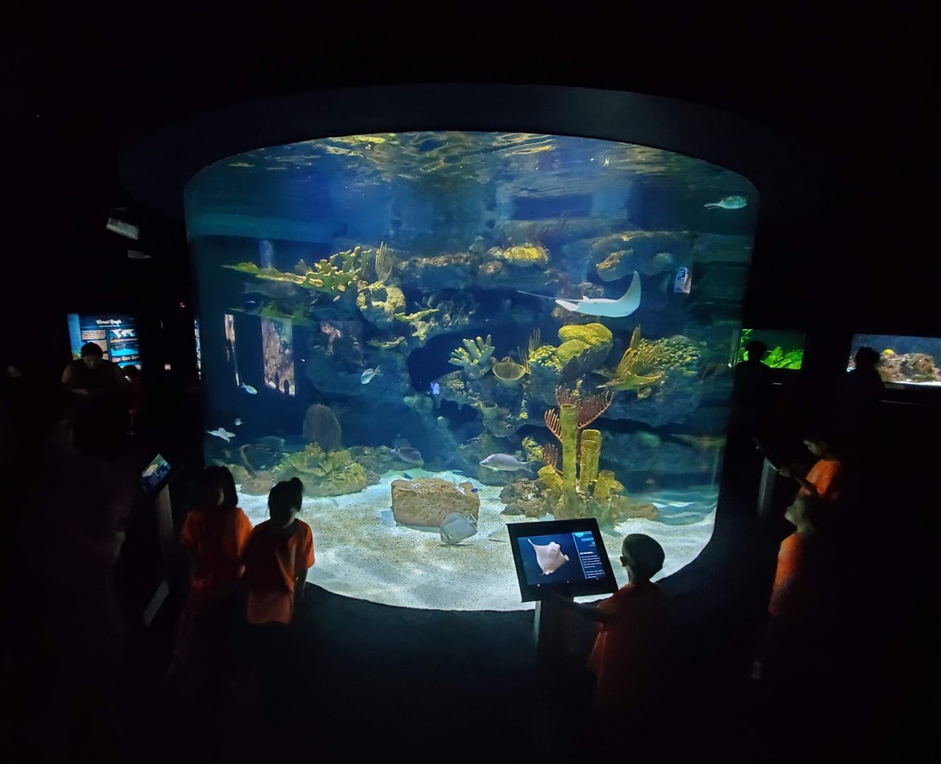 Jul. 2019 - Kipp Memorial Aquarium