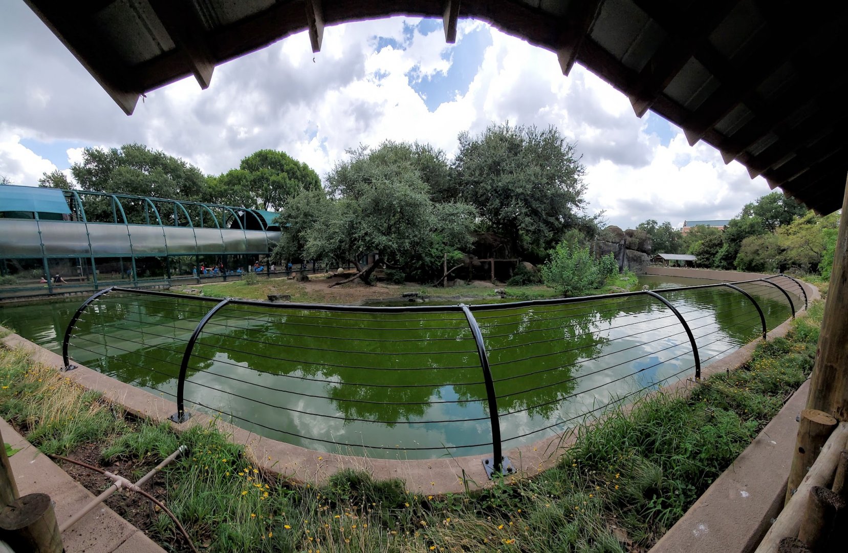 Jul. 2019 - Lion Exhibit Panorama