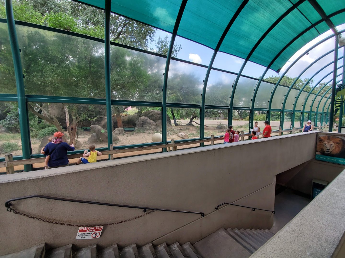 Jul. 2019 - Lion Exhibit - Viewing + Tunnel Entrance