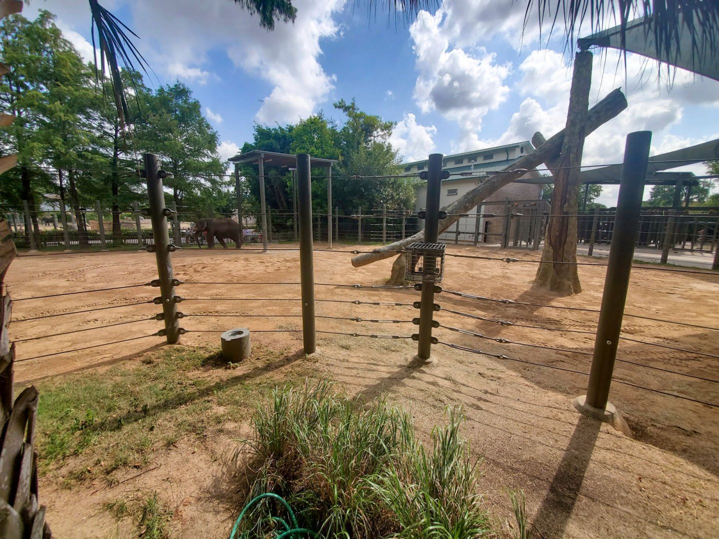 Jul. 2019 - McNair Elephant Habitat - 0.75 Acre Bachelor Yard