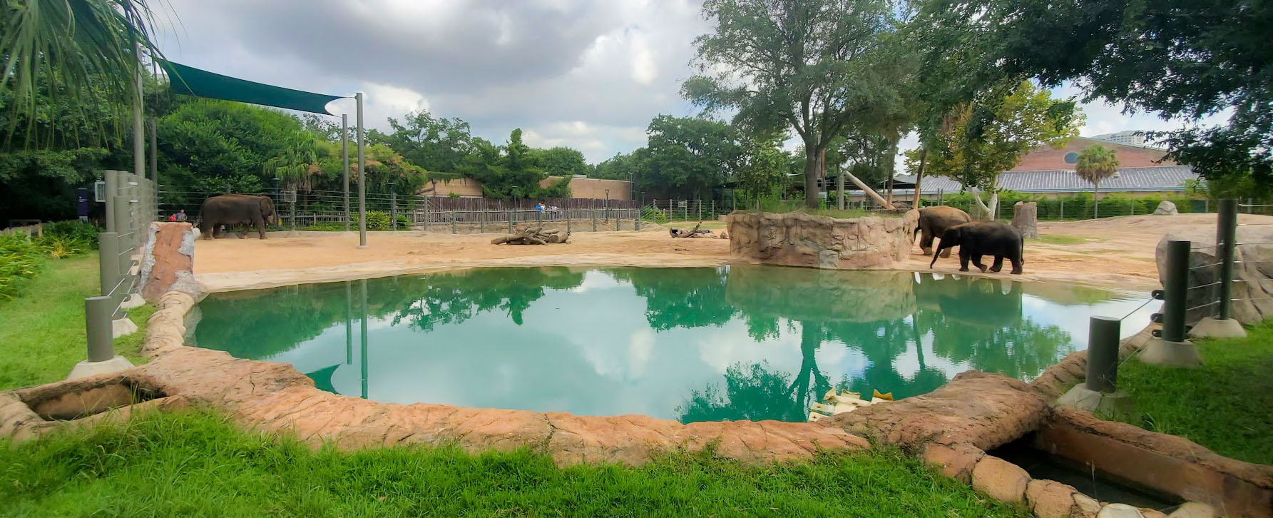 Jul. 2019 - McNair Elephant Habitat - 1 Acre Asian Elephant Left Yard - Pool