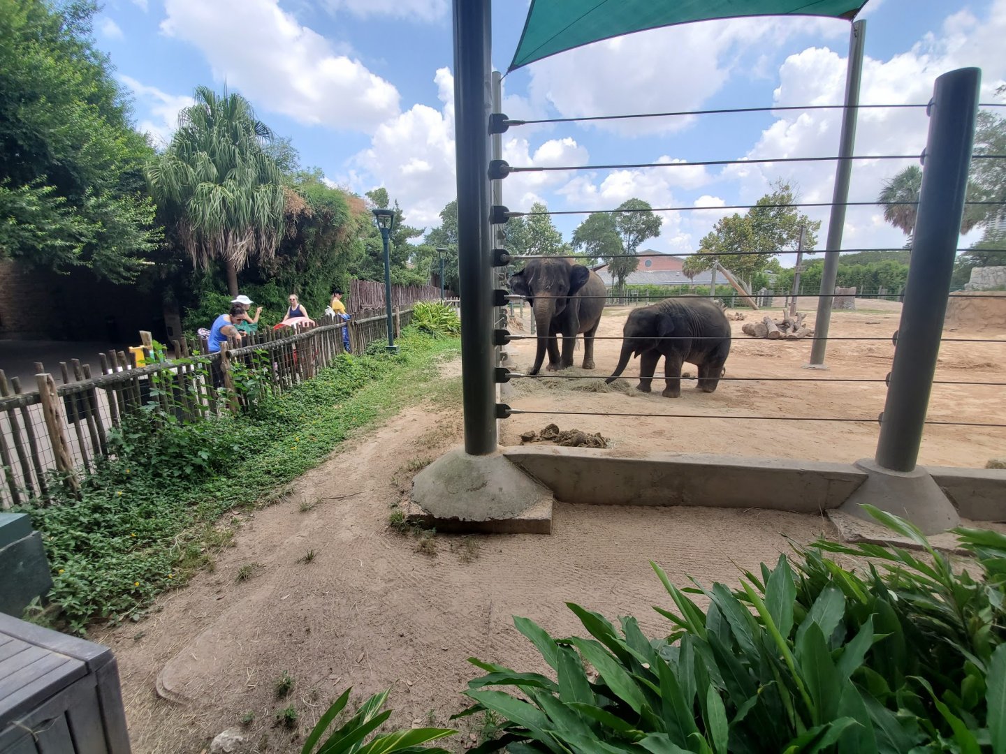 Jul. 2019 - McNair Elephant Habitat - 50,000 sq ft Left Yard