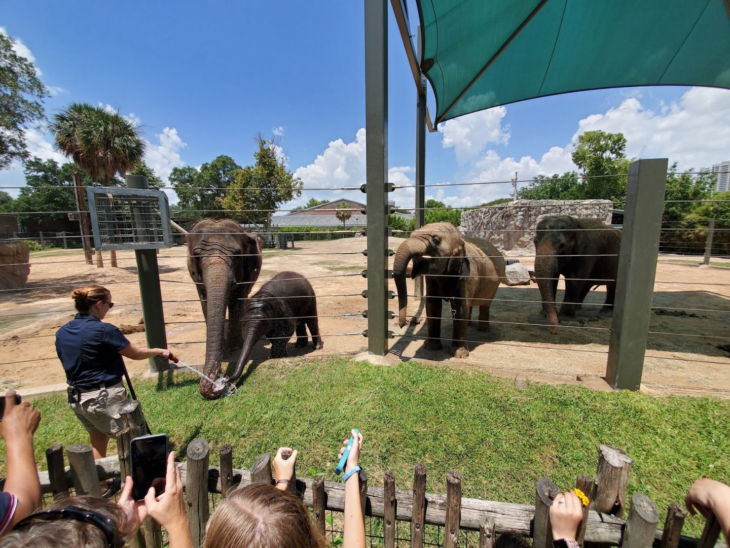 Jul. 2019 - McNair Elephant Habitat - Elephant Bath