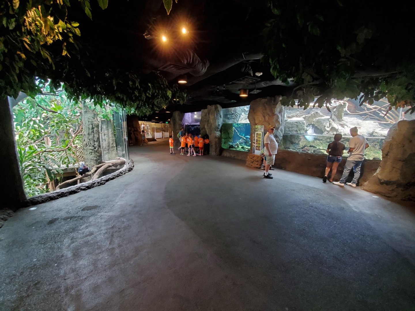 Jul. 2019 - Natural Encounters