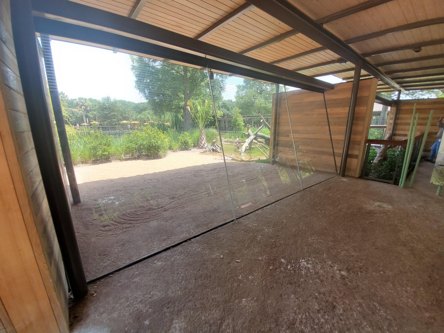 Jul. 2019 - New! Texas Wetlands - American Alligator Exhibit