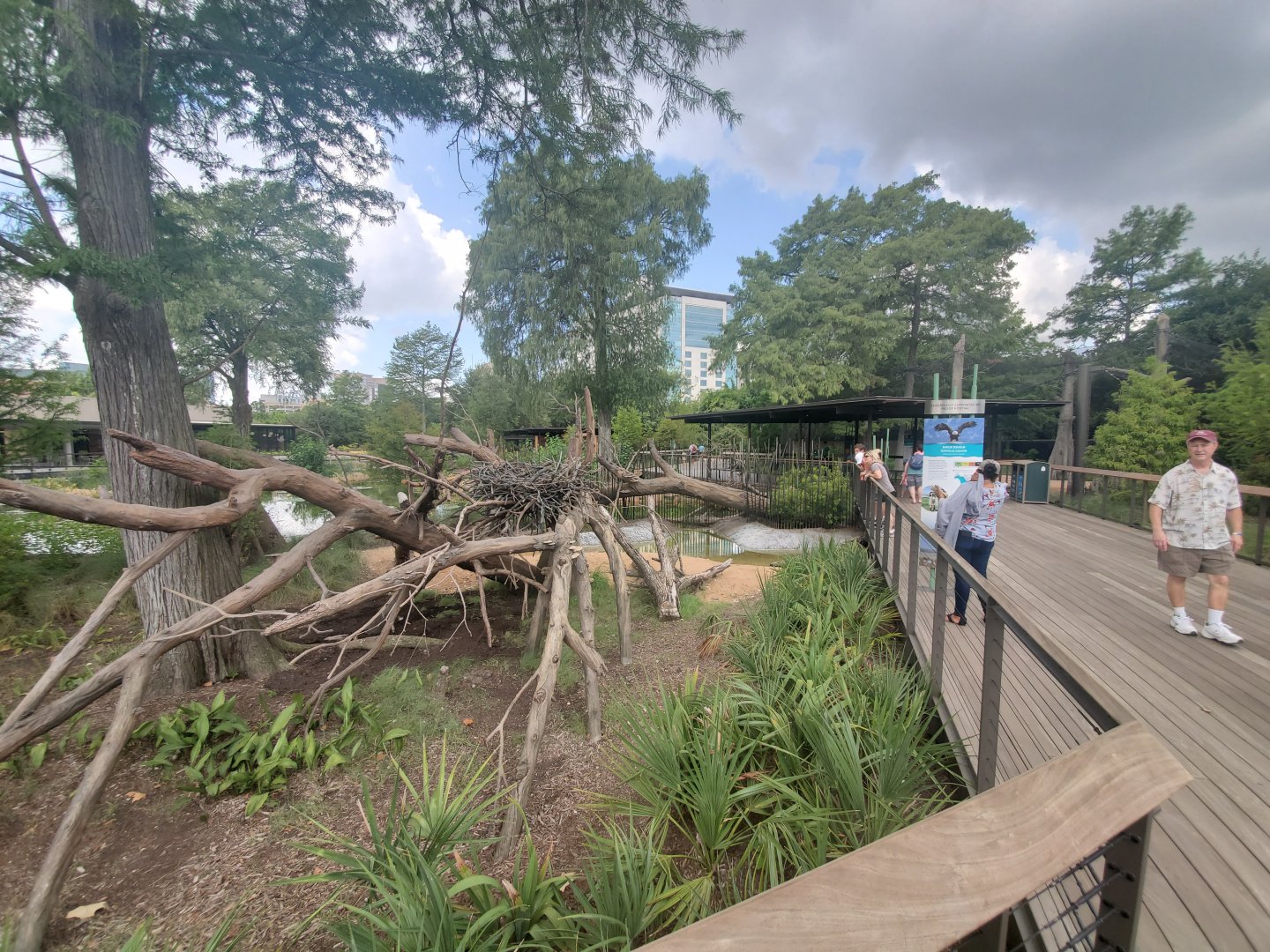 Jul. 2019 - New! Texas Wetlands - Bald Eagle Exhibit