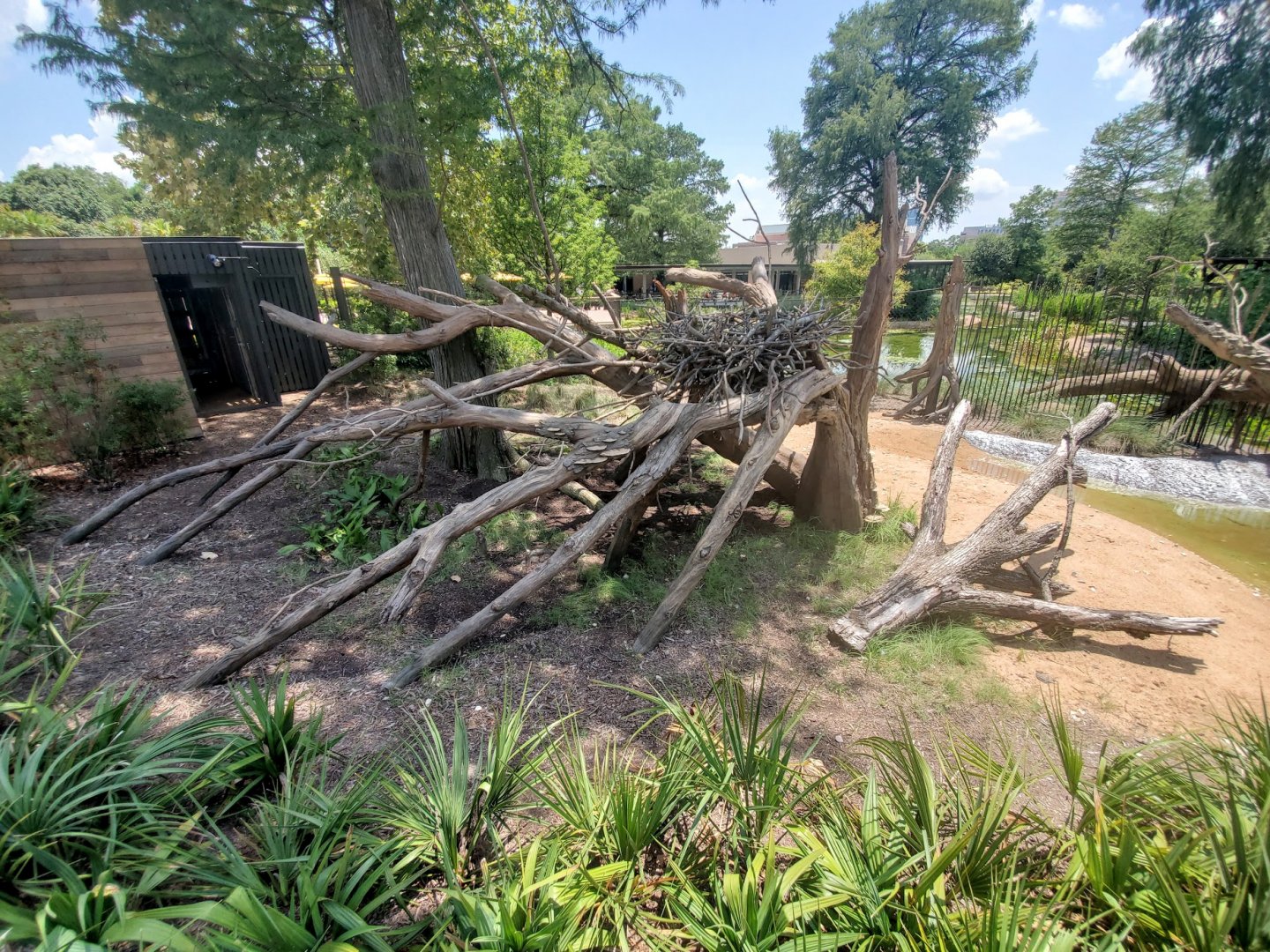Jul. 2019 - New! Texas Wetlands - Bald Eagle Exhibit