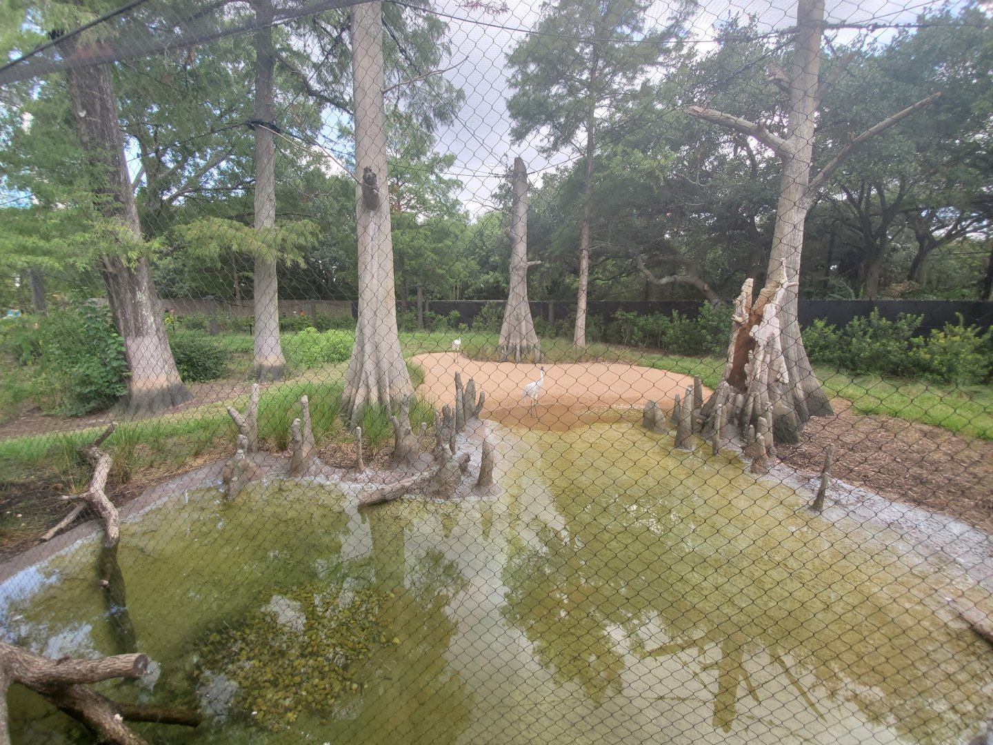Jul. 2019 - New! Texas Wetlands - Whooping Crane Exhibit