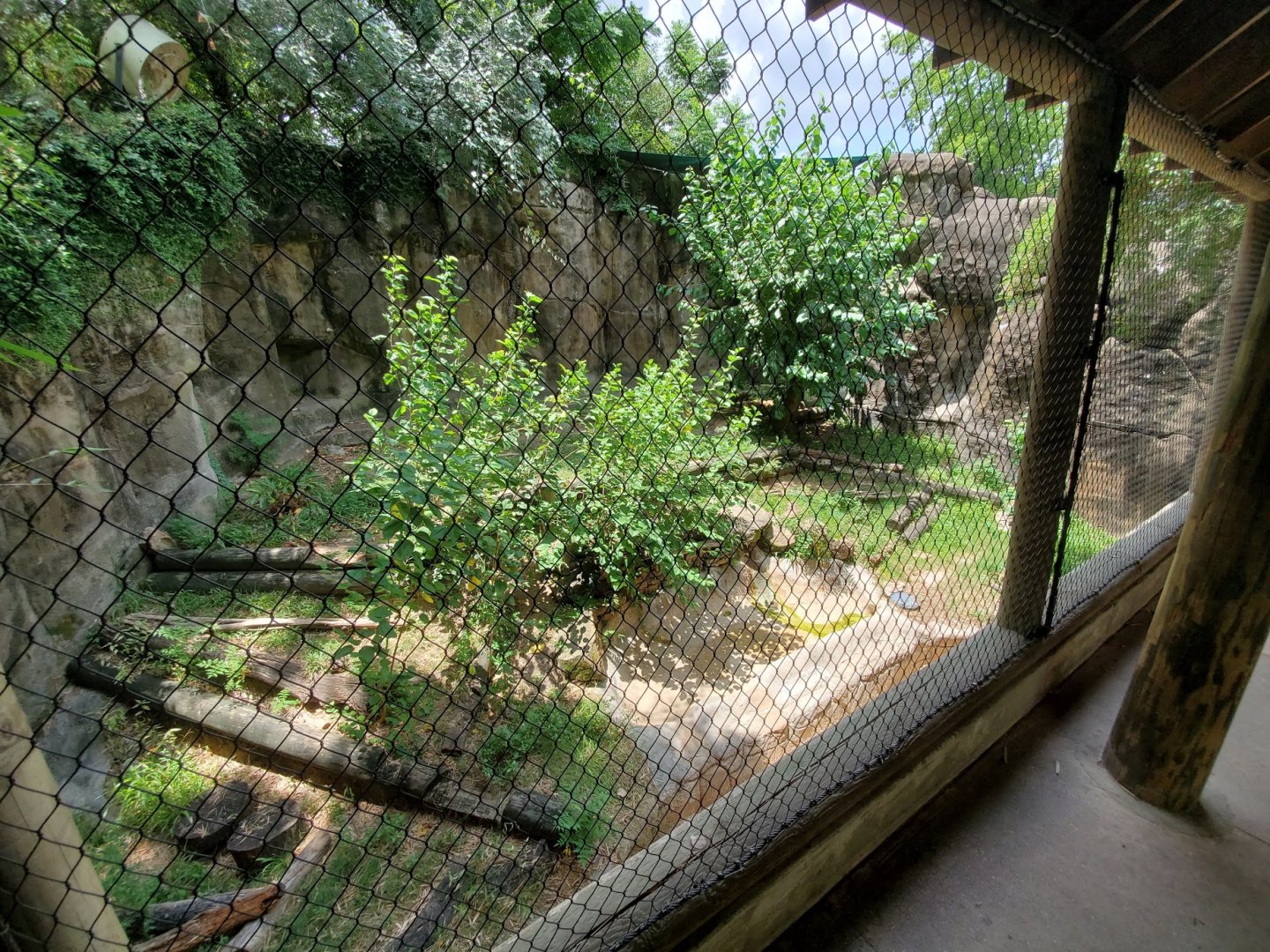 Jul. 2019 - Outdoor Komodo Dragon Exhibit