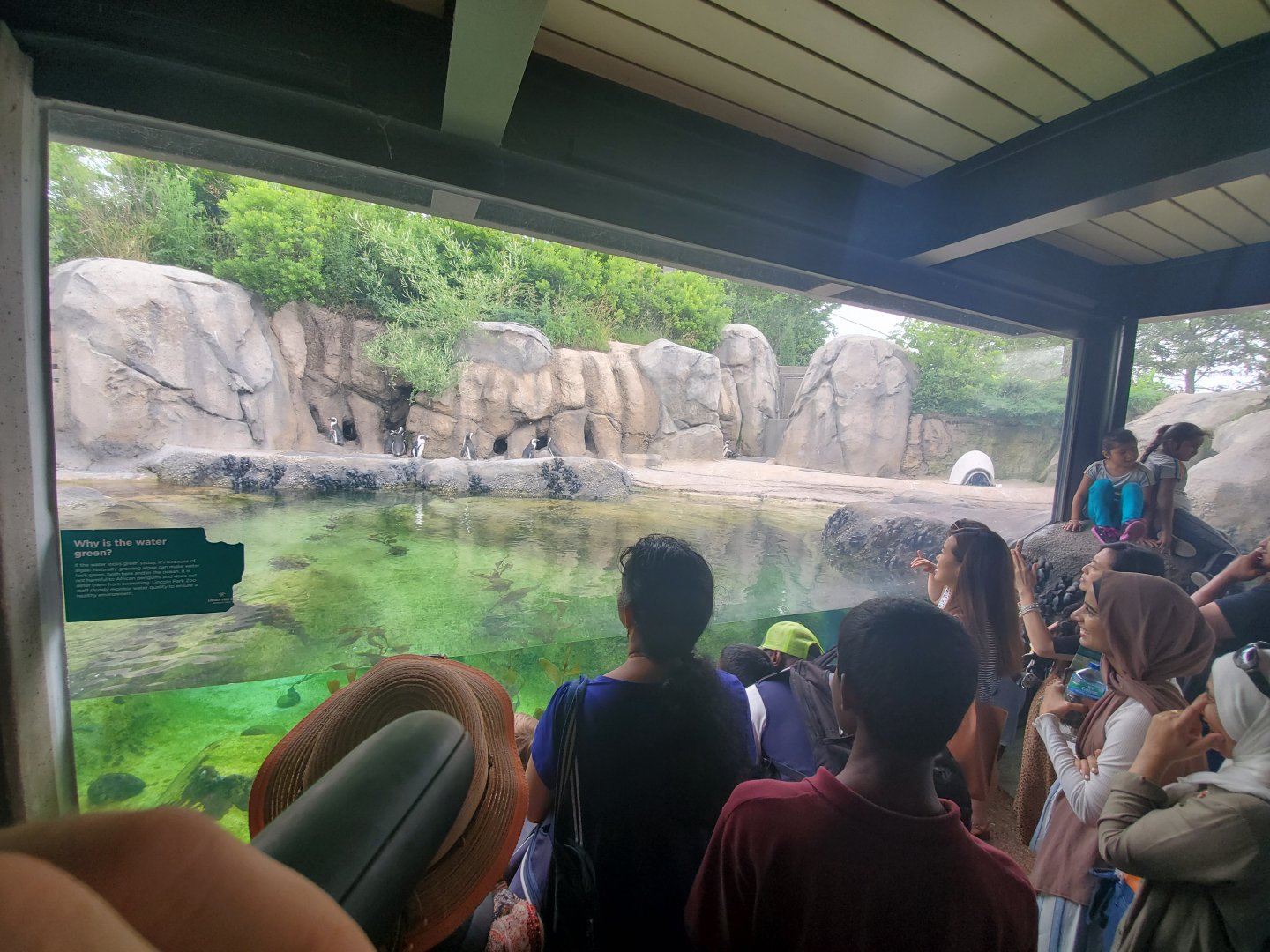 Jul. 2019 - Penguin Cove - Left Side