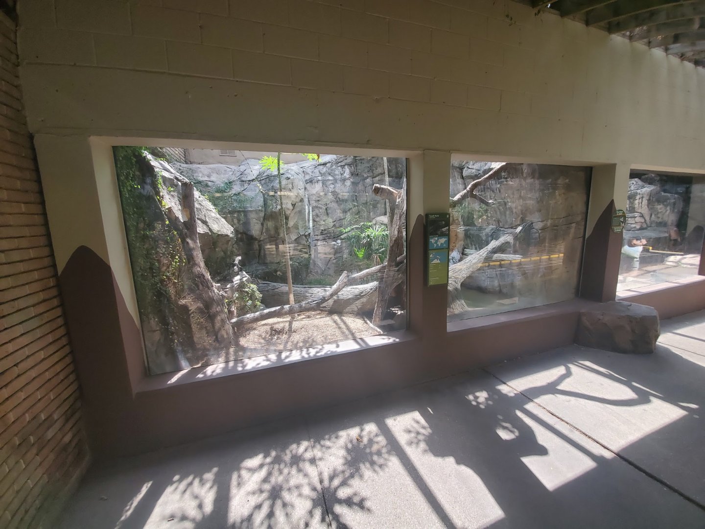 Jul. 2019 - Reptile & Amphibian House - Crocodile Monitor Exhibit