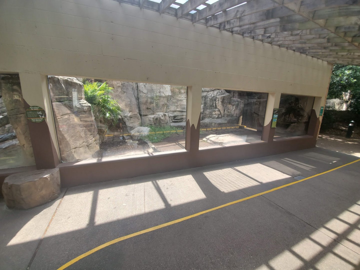 Jul. 2019 - Reptile & Amphibian House - Outdoor Grand Cayman Blue Iguana Exhibit