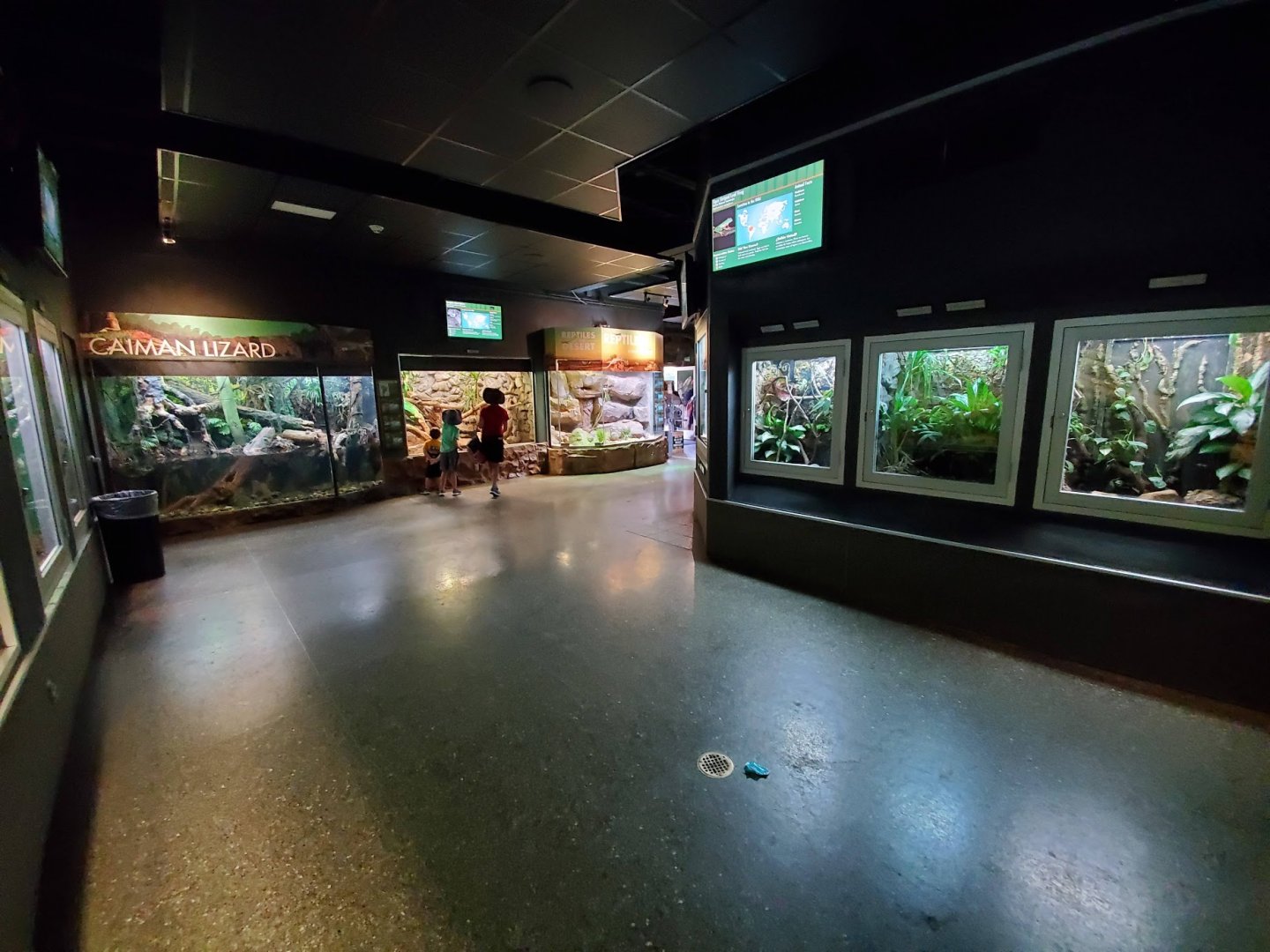 Jul. 2019 - Reptile & Amphibian House