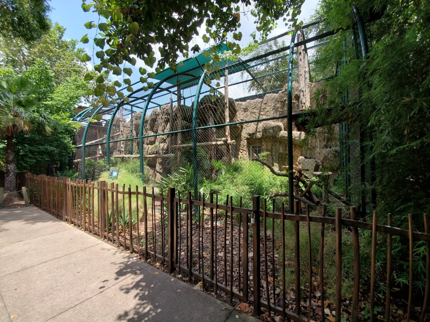 Jul. 2019 - Small Cats - Clouded Leopard Exhibit