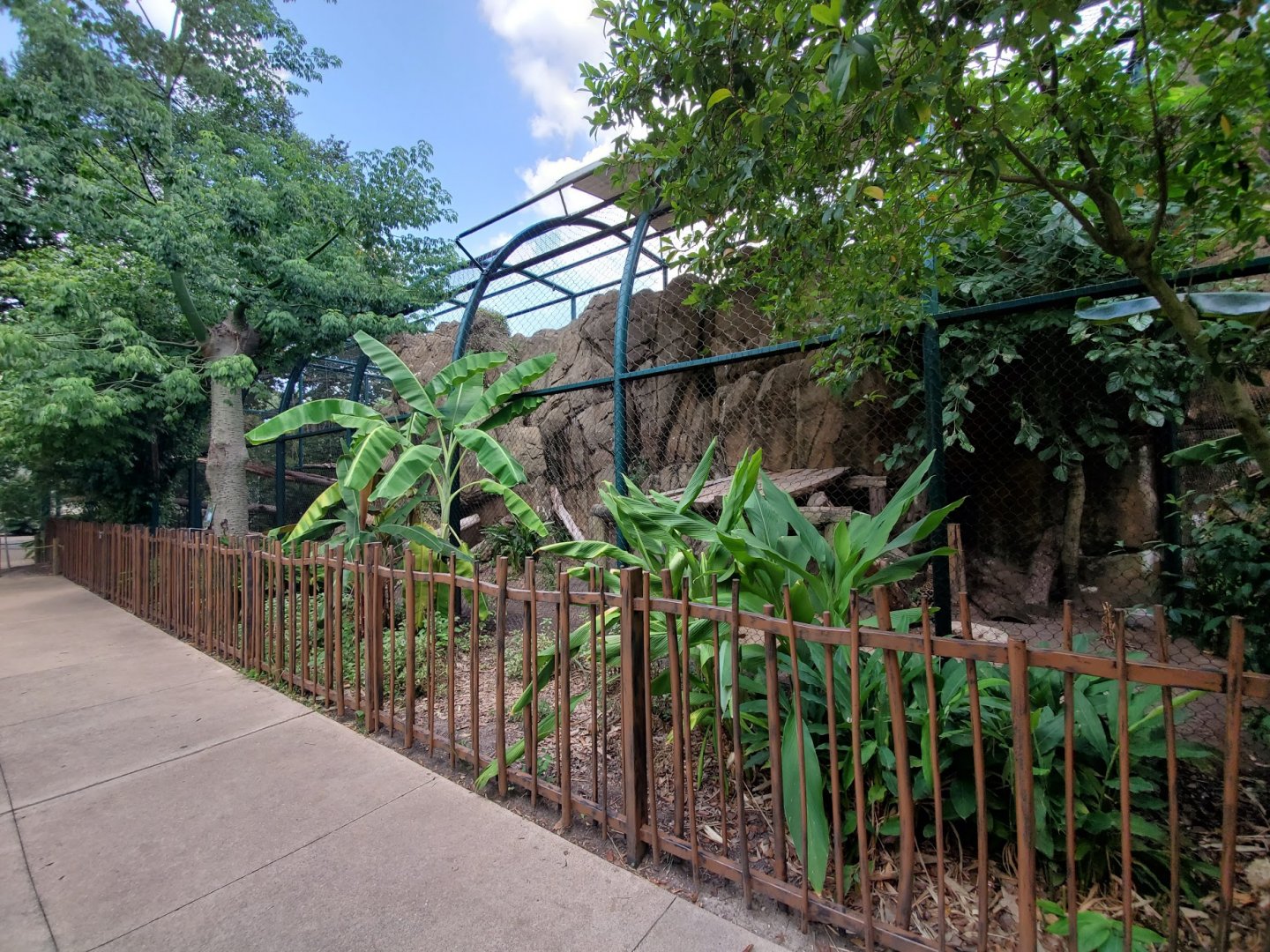 Jul. 2019 - Small Cats - Smaller Jaguar Exhibit