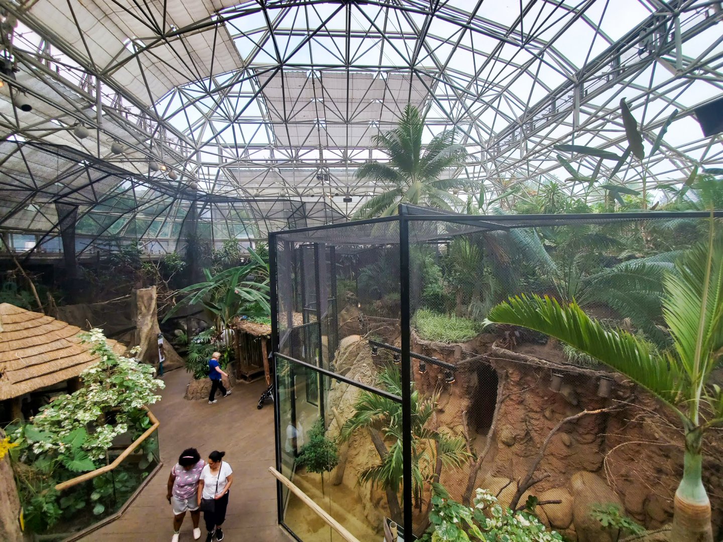 Jul. 2019 - Small Mammals-Reptile House - Atrium Overlook