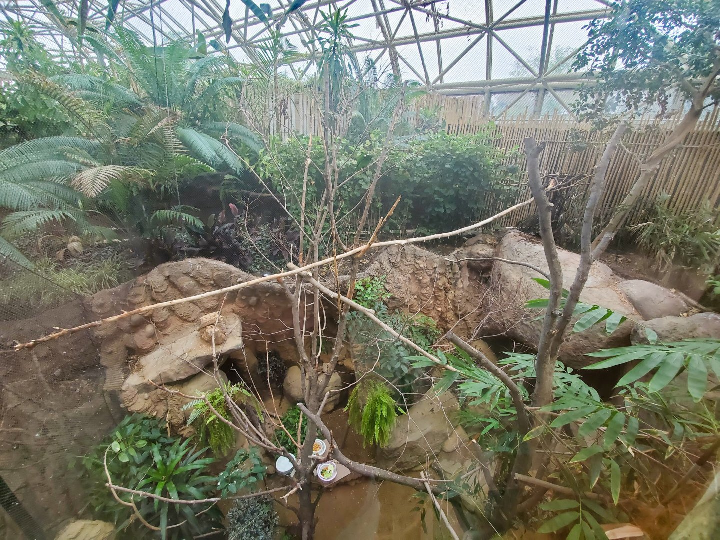 Jul. 2019 - Small Mammals-Reptile House - Puerto Rican Parrot Exhibit - Above View