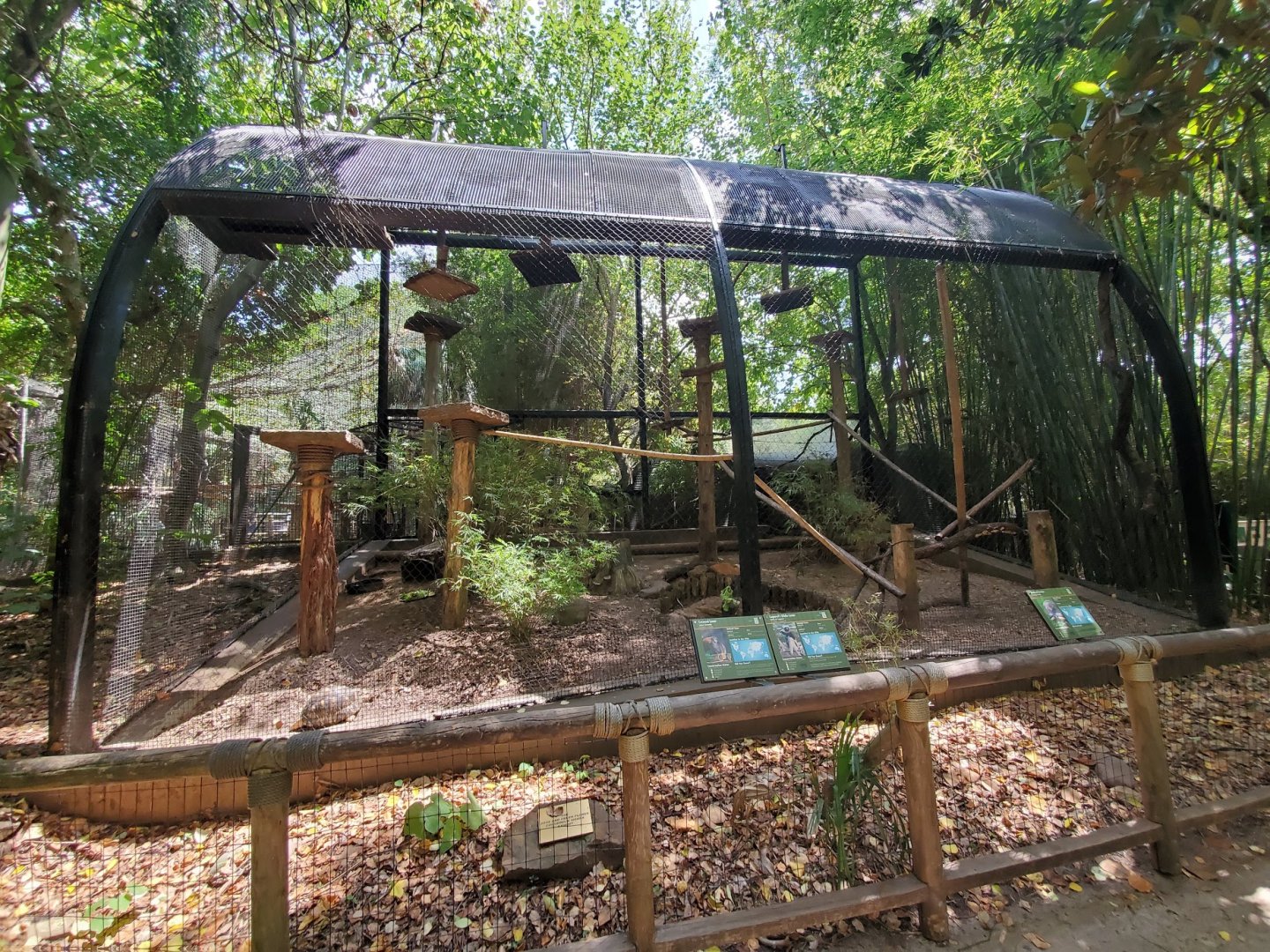 Jul. 2019 - World of Primates - Coquerel's Sifaka/Crowned Lemur/Radiated Tortoise Exhibit