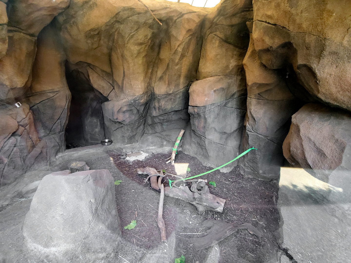 Jul. 2020 - Africa: Okavango Delta - Cape Porcupine Exhibit