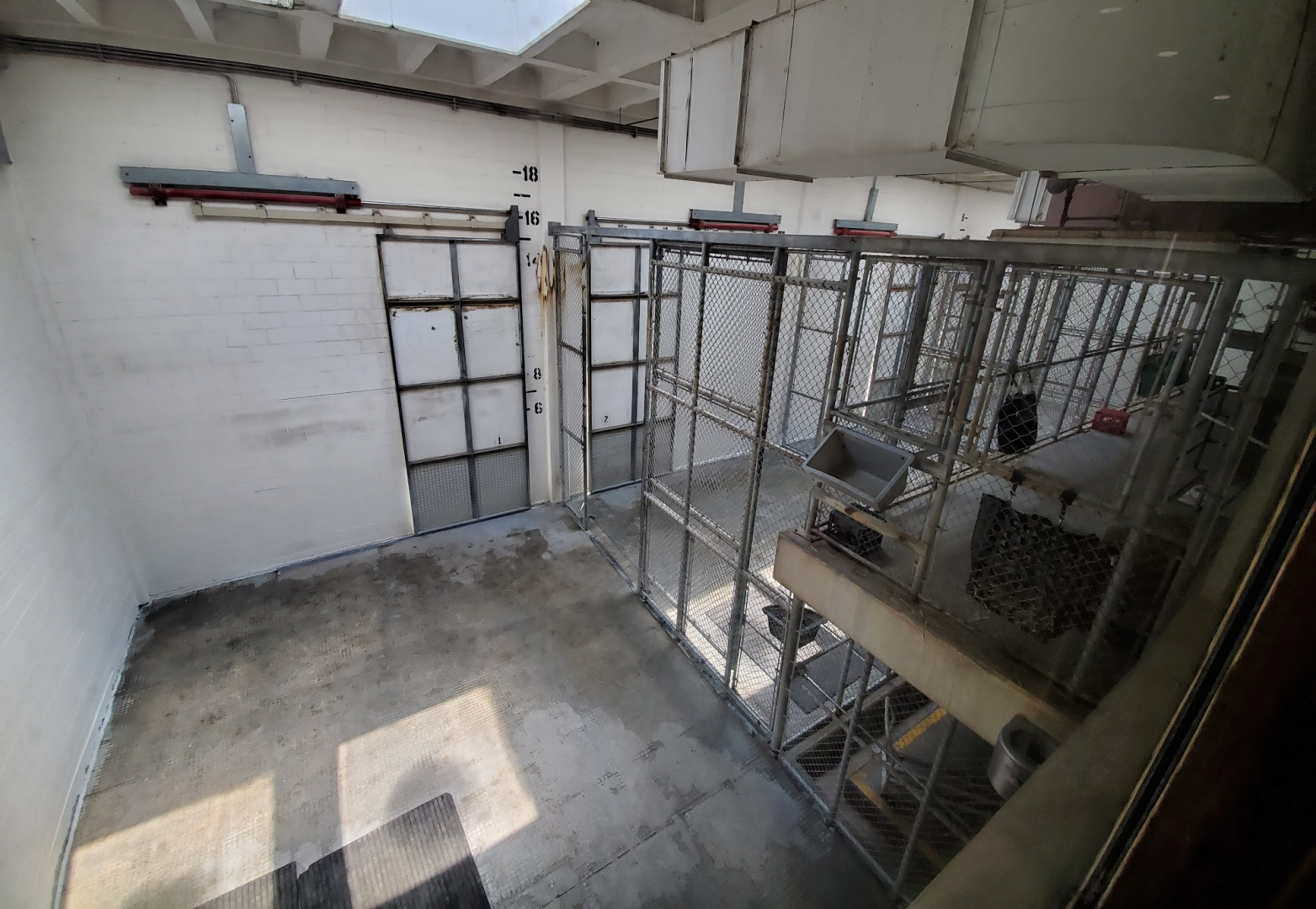 Jul. 2020 - Africa: Okavango Delta - Giraffe Stalls