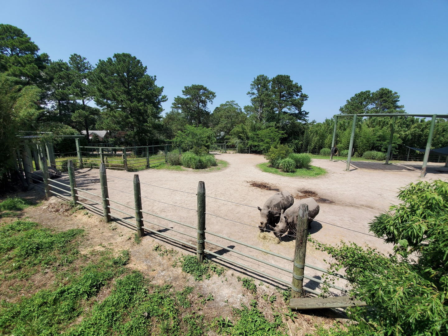 Jul. 2020 - Africa: Okavango Delta - Southern White Rhinoceros Exhibit