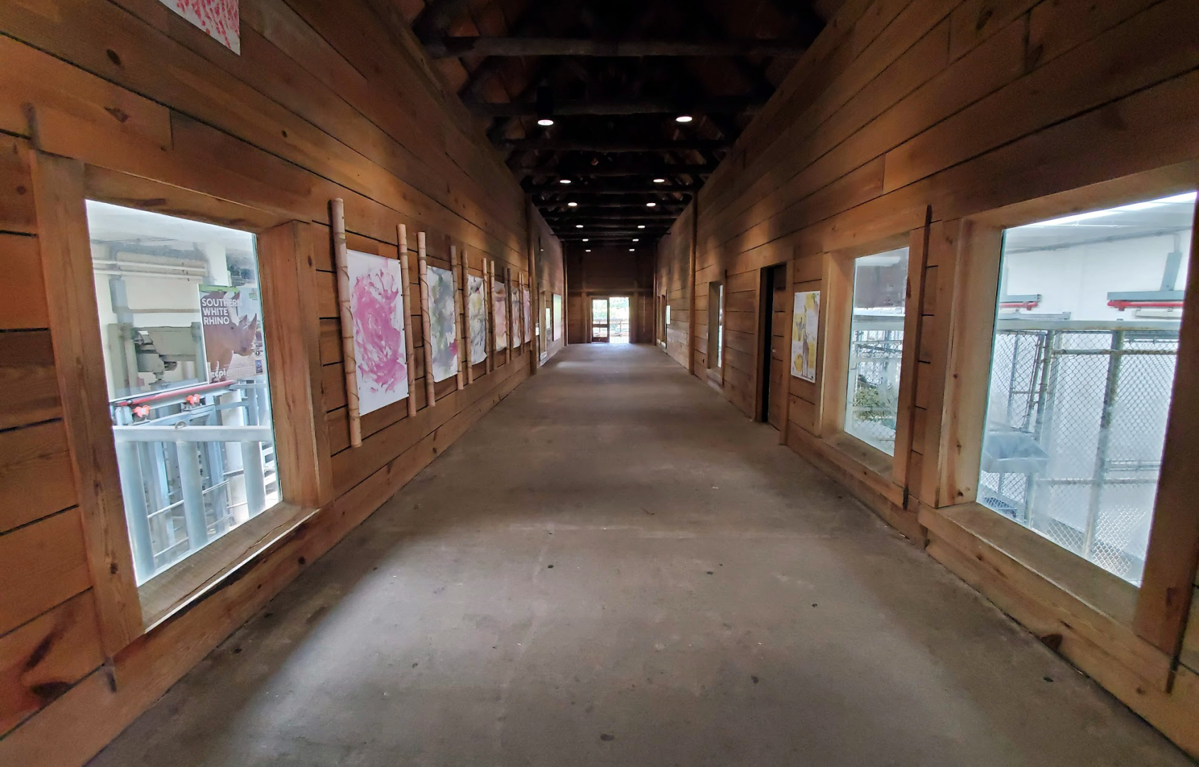 Jul. 2020 - Africa: Okavango Delta - White Rhino/GIraffe Stall Viewing