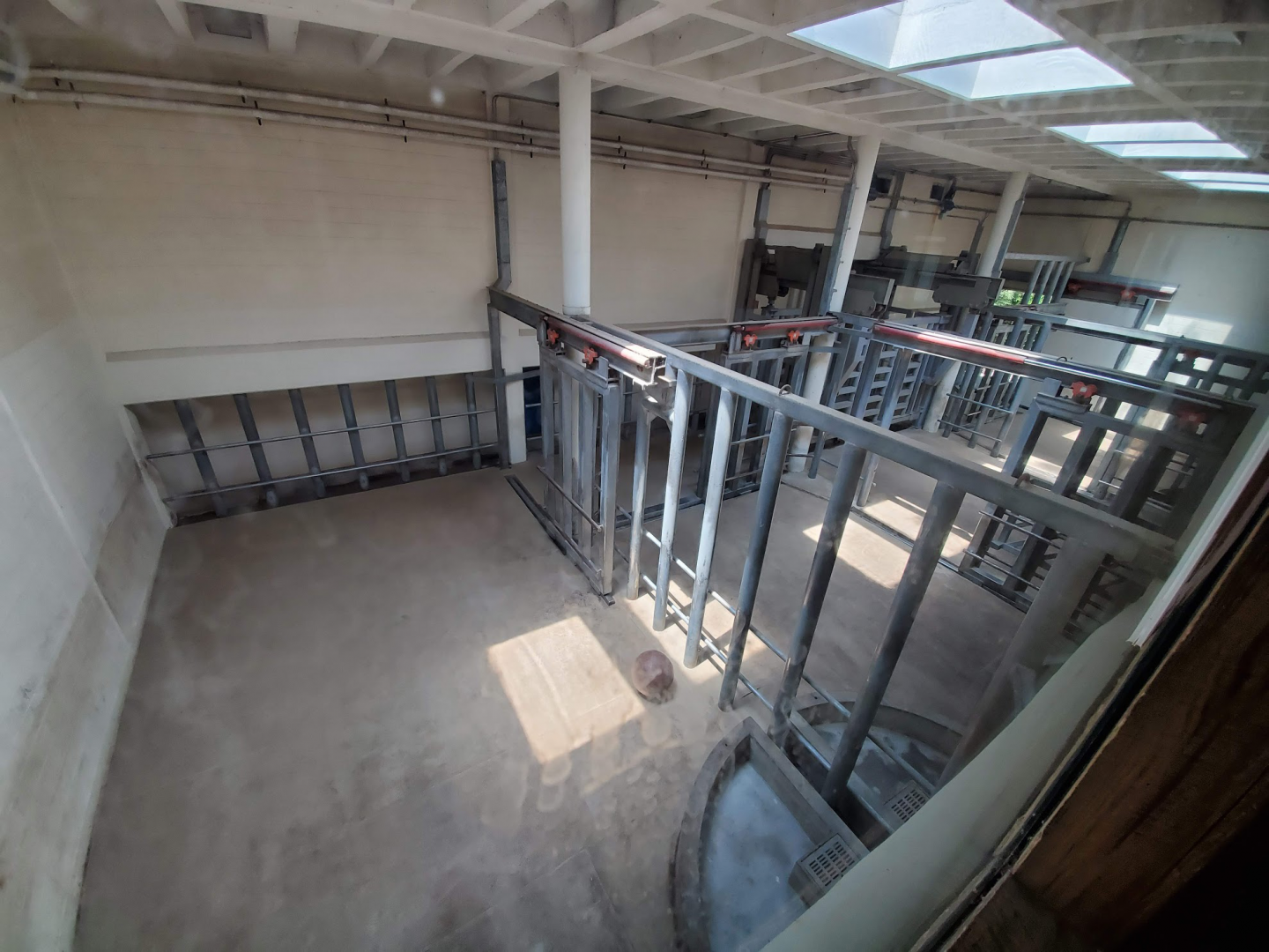 Jul. 2020 - Africa: Okavango Delta - White Rhino Stalls