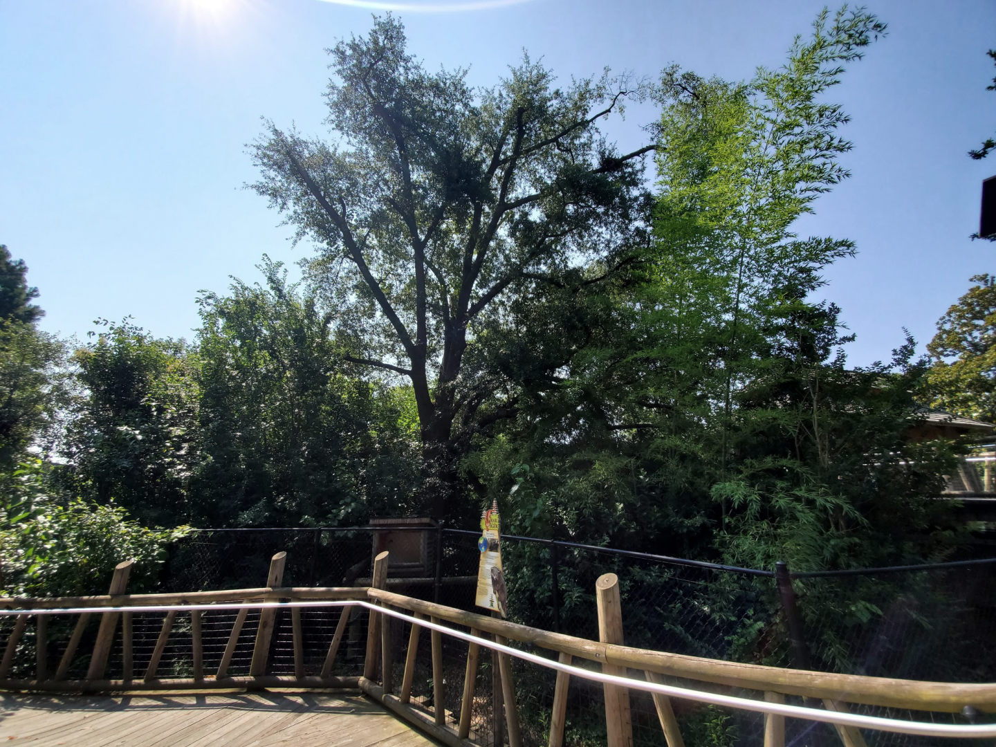 Jul. 2020 - Asia: Trail of the Tiger - Bearcat Exhibit