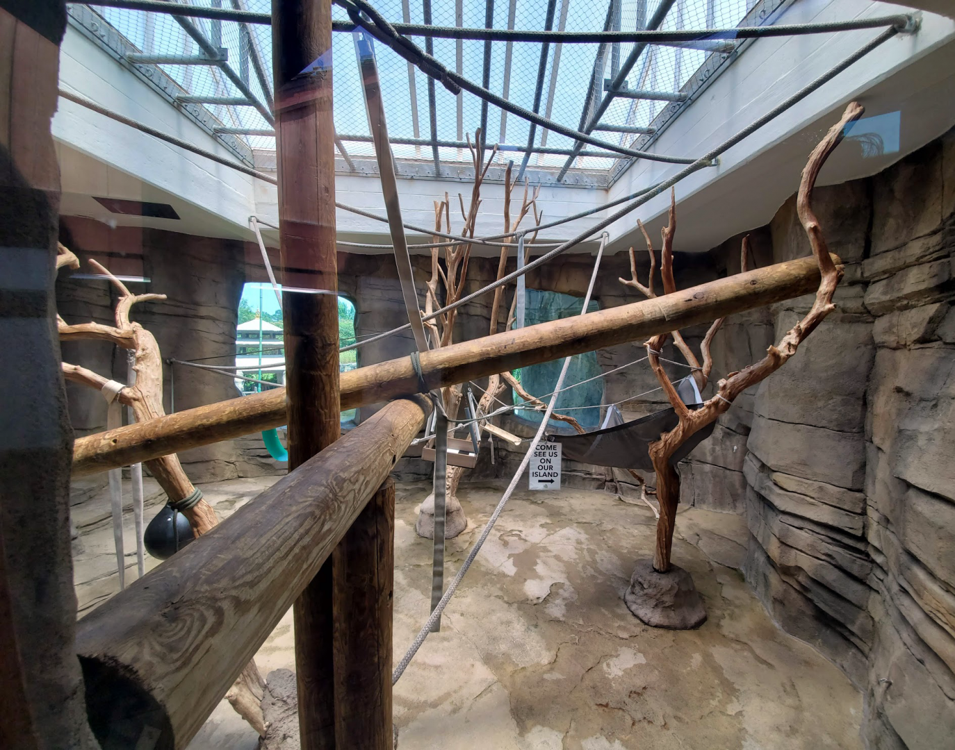 Jul. 2020 - Asia: Trail of the Tiger - Indoor Siamang Exhibit