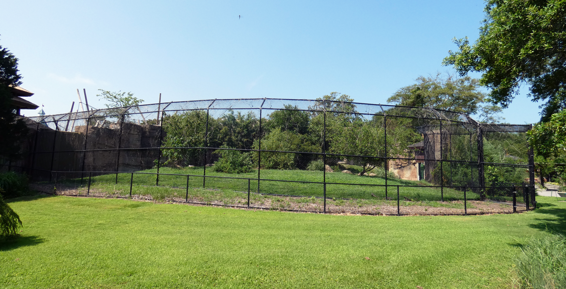 Jul. 2020 - Asia: Trail of the Tiger - Malayan Tiger Exhibit