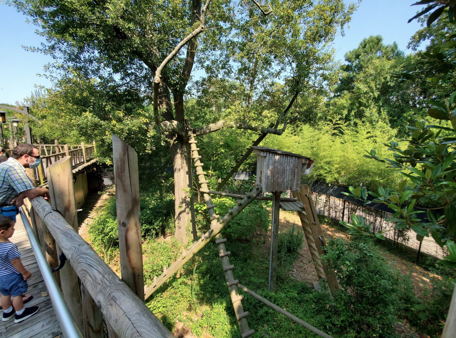 Jul. 2020 - Asia: Trail of the Tiger - Red Panda Exhibit
