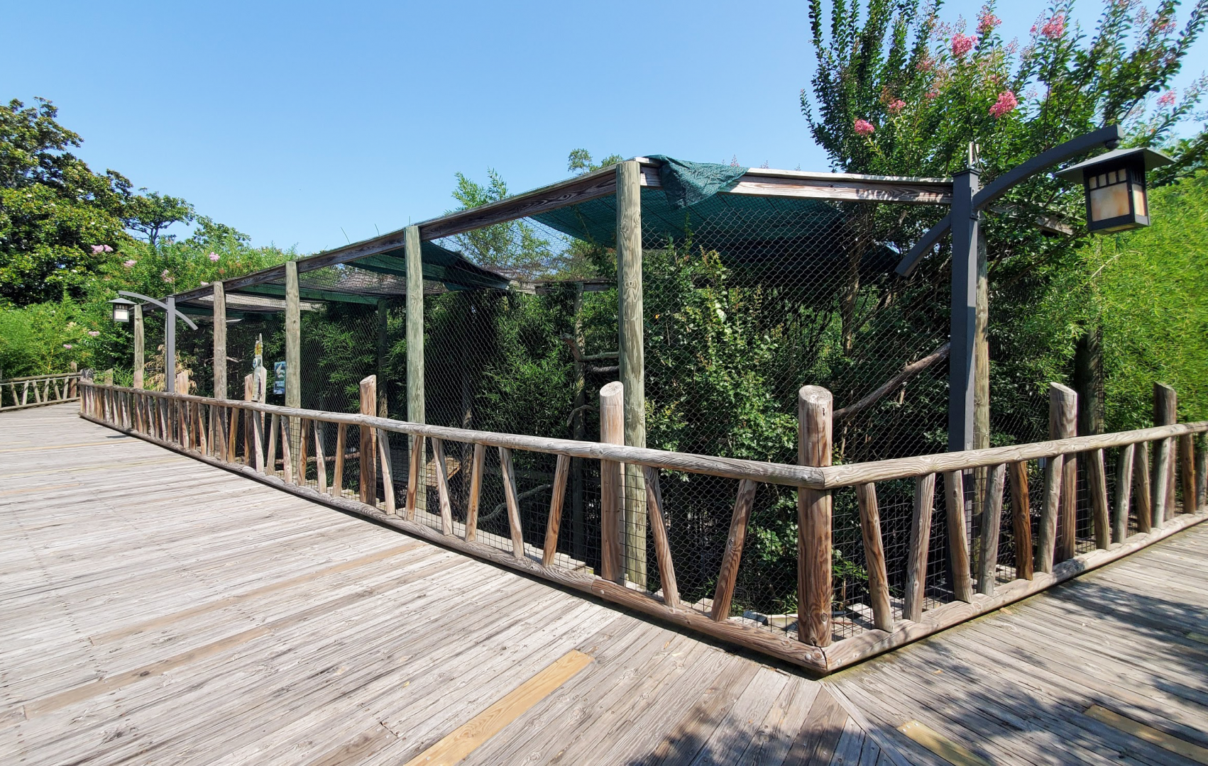 Jul. 2020 - Asia: Trail of the Tiger - Rhinoceros Hornbill Exhibit