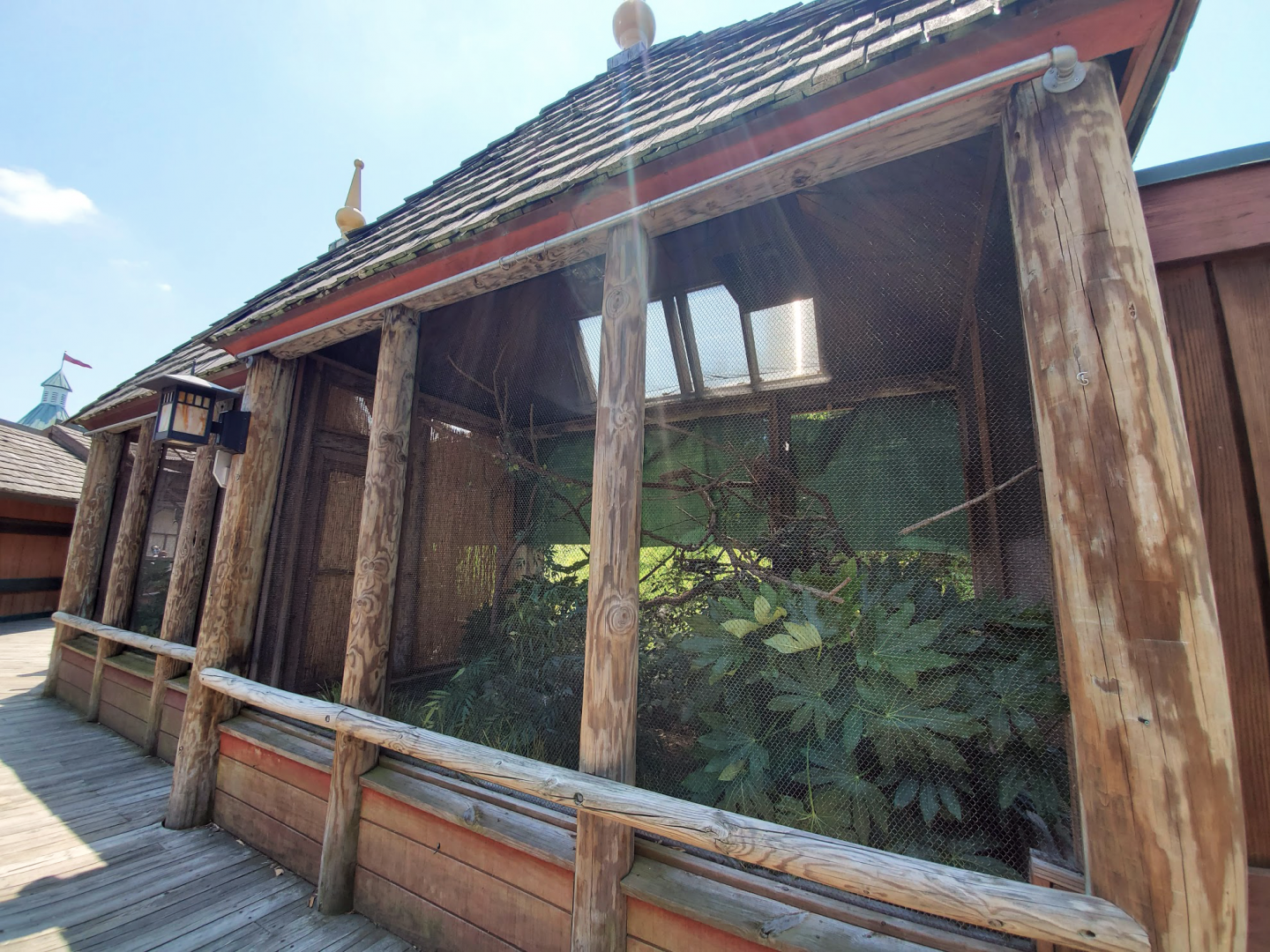 Jul. 2020 - Asia: Trail of the Tiger - Tawny Frogmouth Exhibit