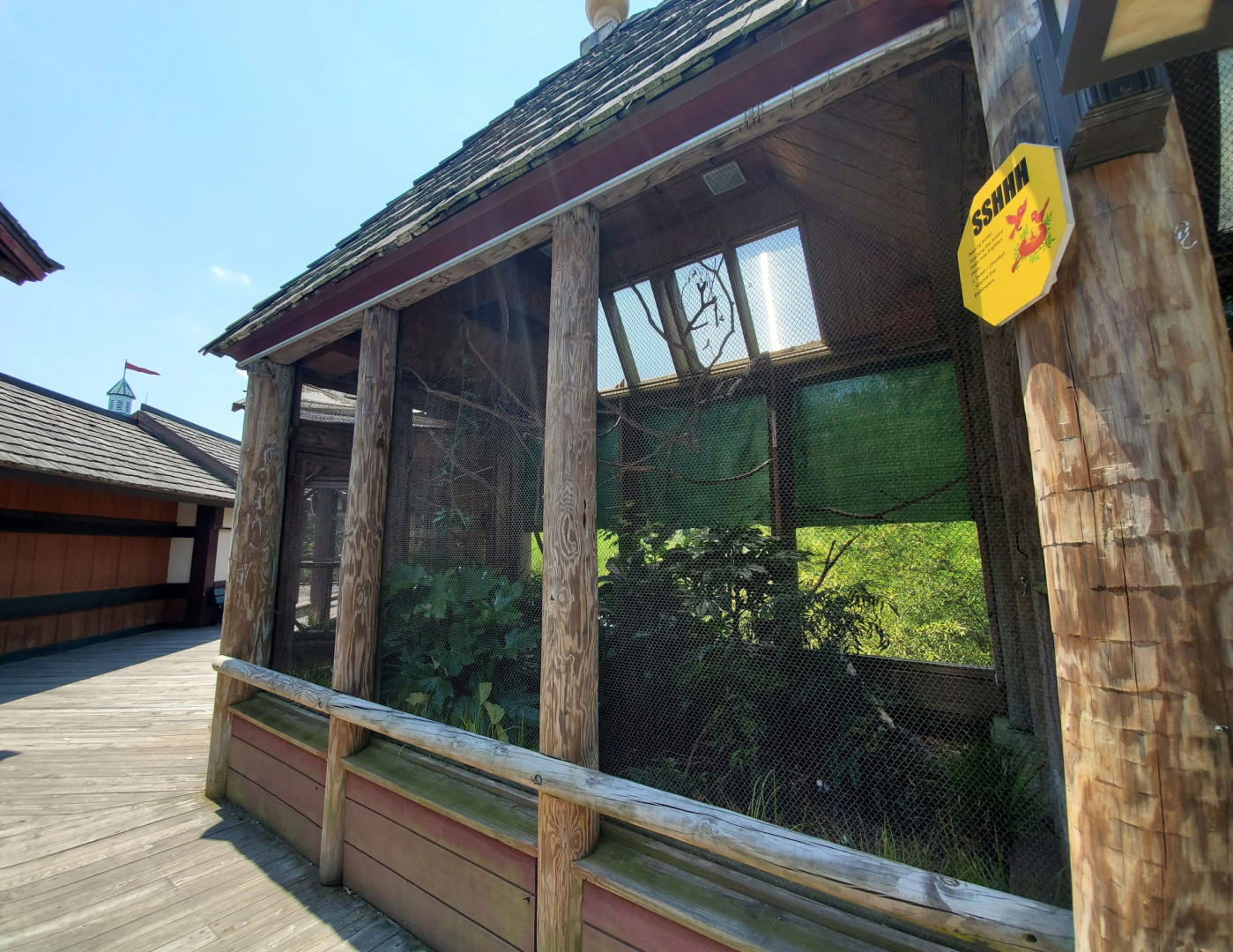 Jul. 2020 - Asia: Trail of the Tiger - White-crested Laughing Thrush Exhibit