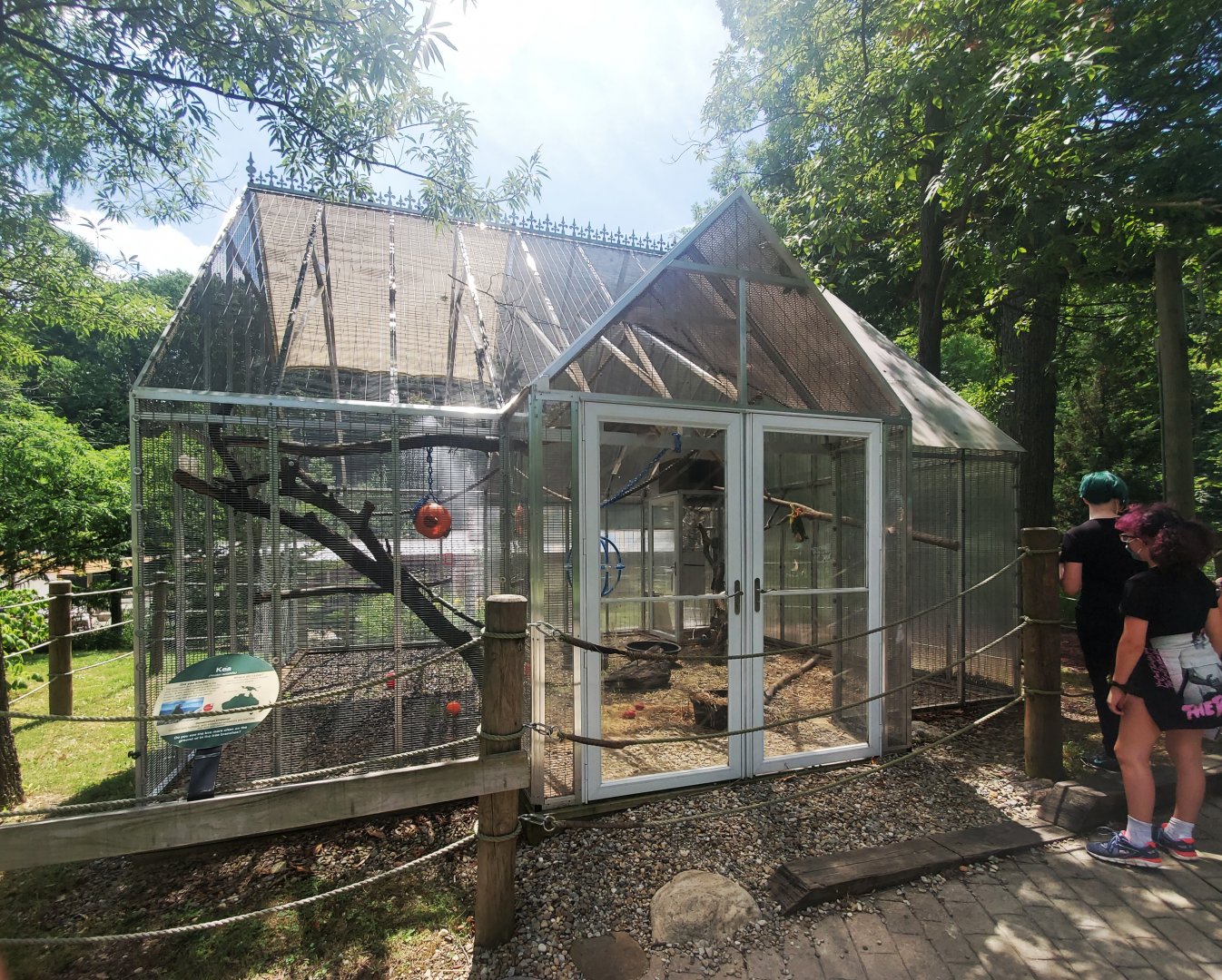 Jul. 2020 - Australian Adventure - Kea Exhibit