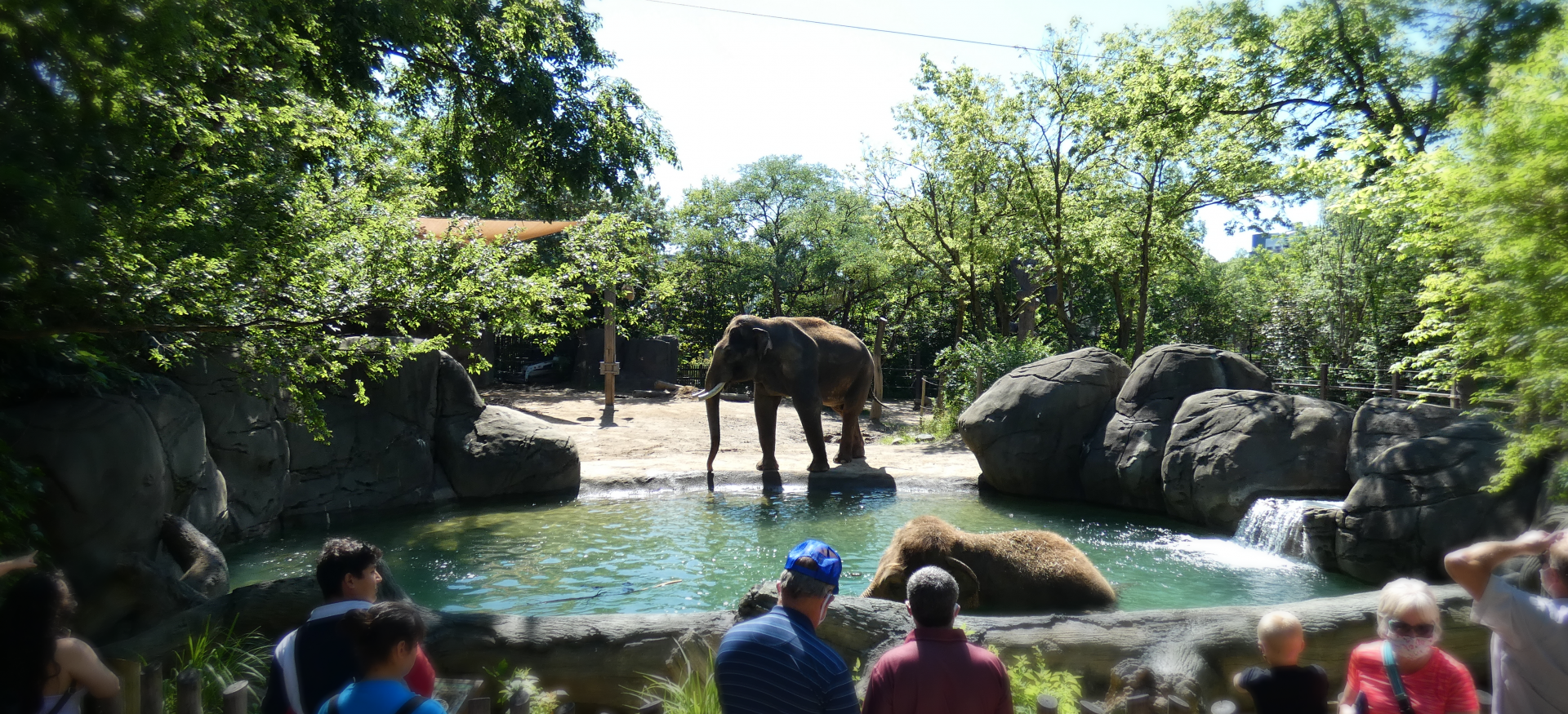 Jul. 2020 - Elephant Reserve - Right Elephant Exhibit & Pool