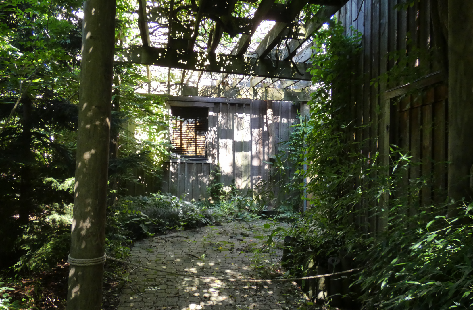 Jul. 2020 - Former Nocturnal House (1964-2010)