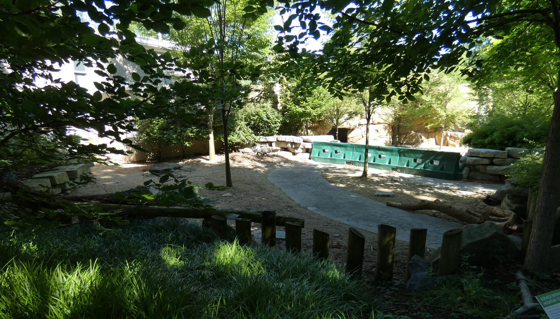 Jul. 2020 - Reptile House - Burmese Mountain Tortoise Exhibit