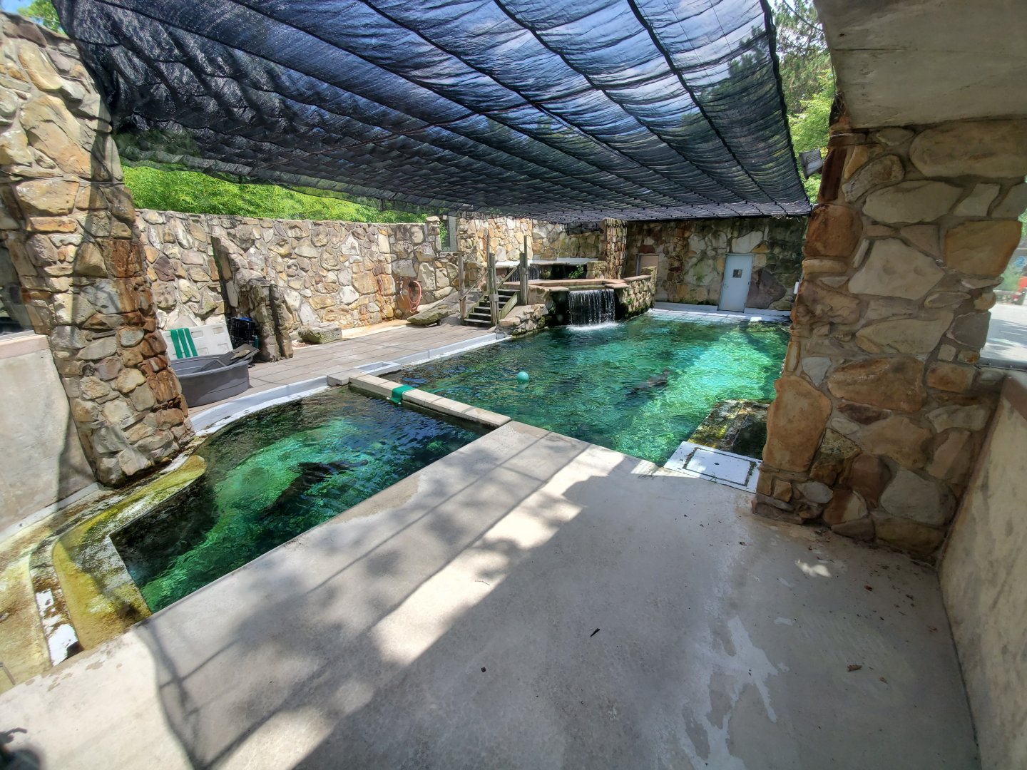 Jul. 2020 - Wilderness Trek - California Sea Lion Exhibit