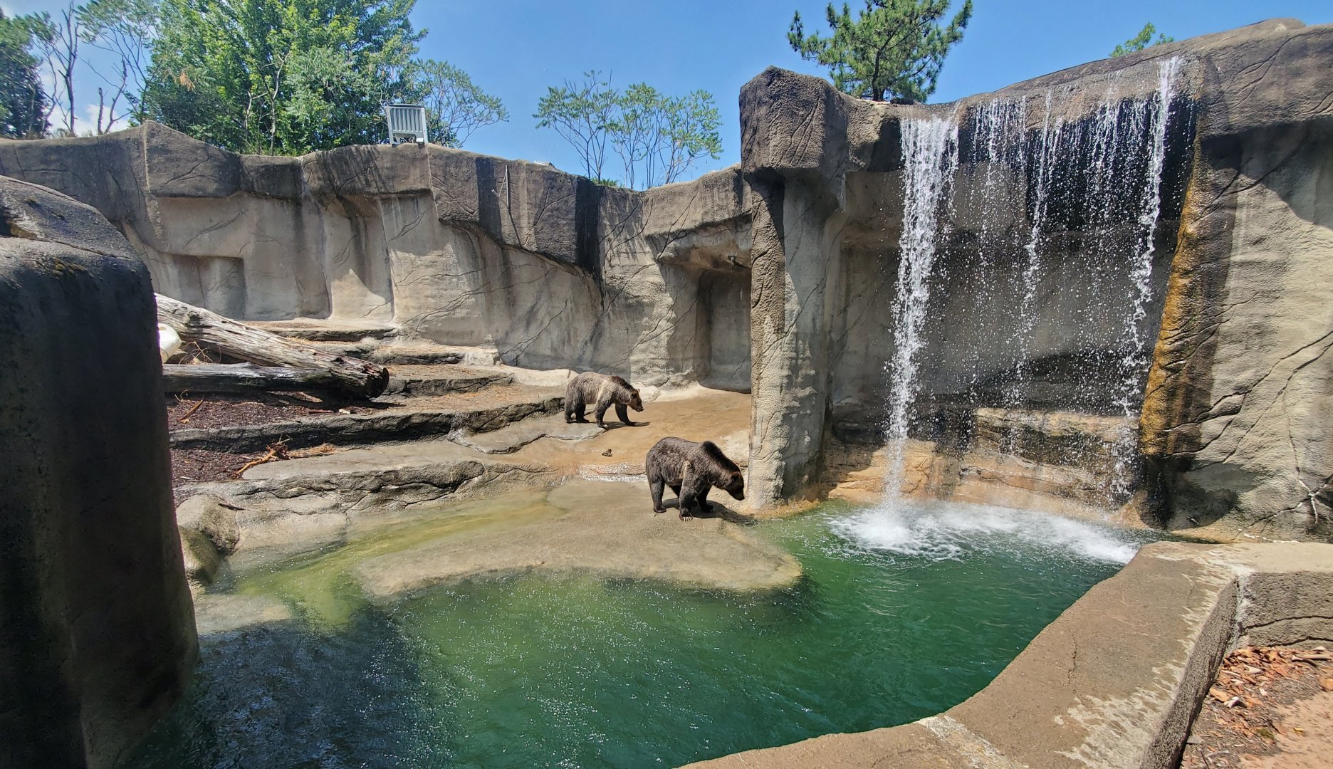 Jul. 2020 - Wilderness Trek - Grizzly/Black Bear Exhibit