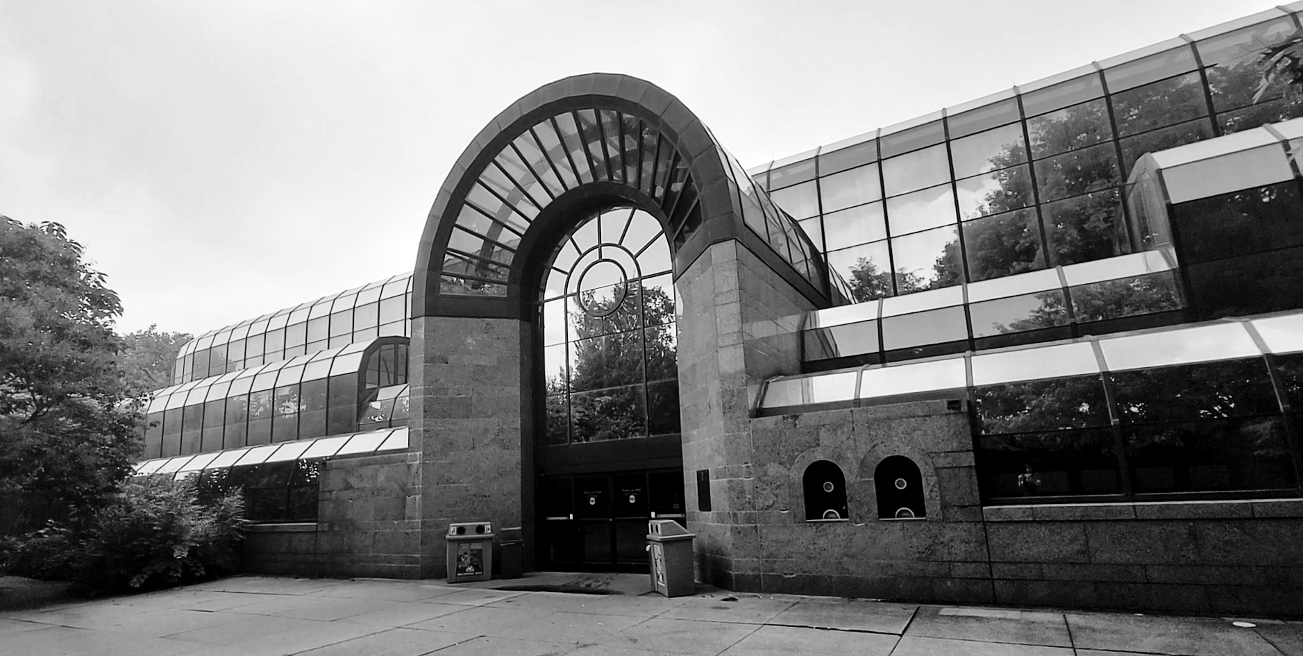 Jul. 2021 - The Rain Forest