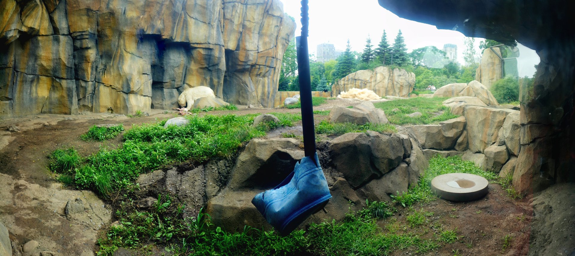 Jul. 2022 - Arctic Tundra - Polar Bear Exhibit (1 of 2)