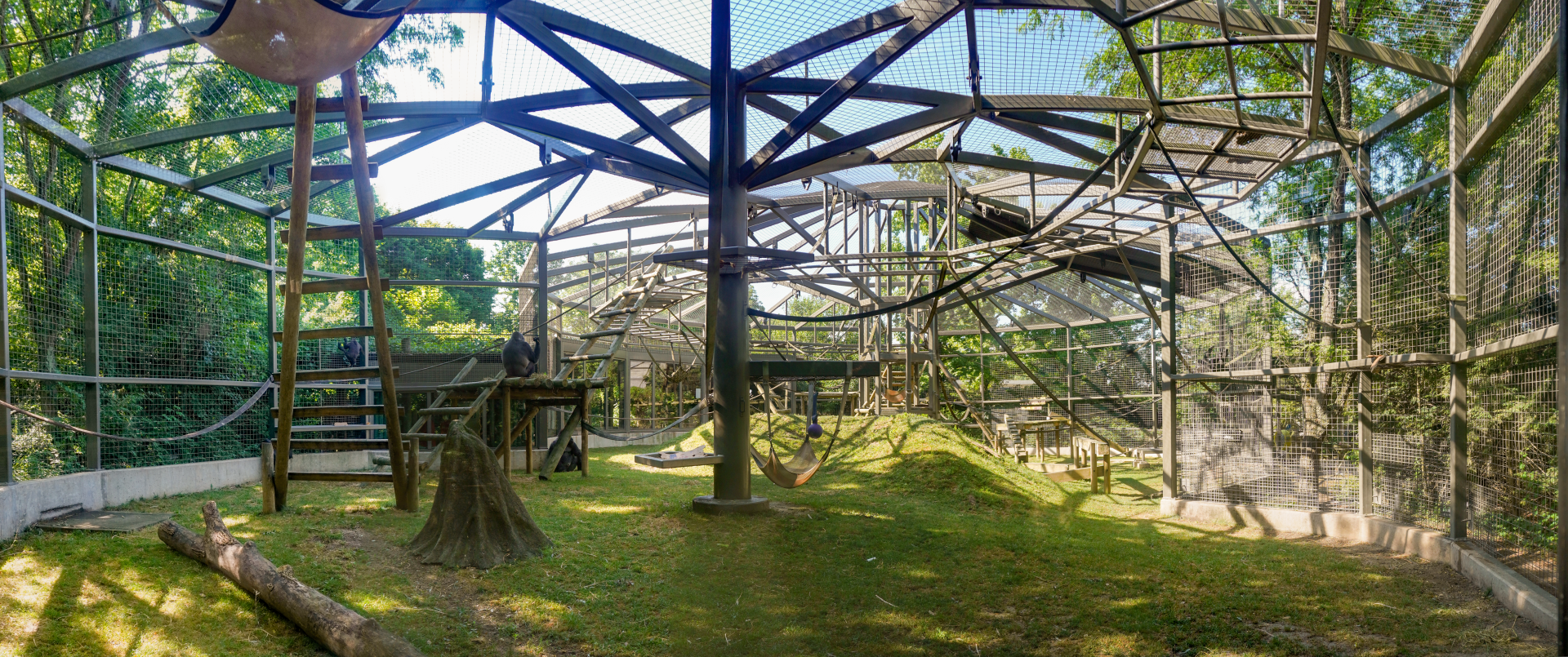 Jul. 2022 - Congo Expedition - Gorilla Exhibit Panorama