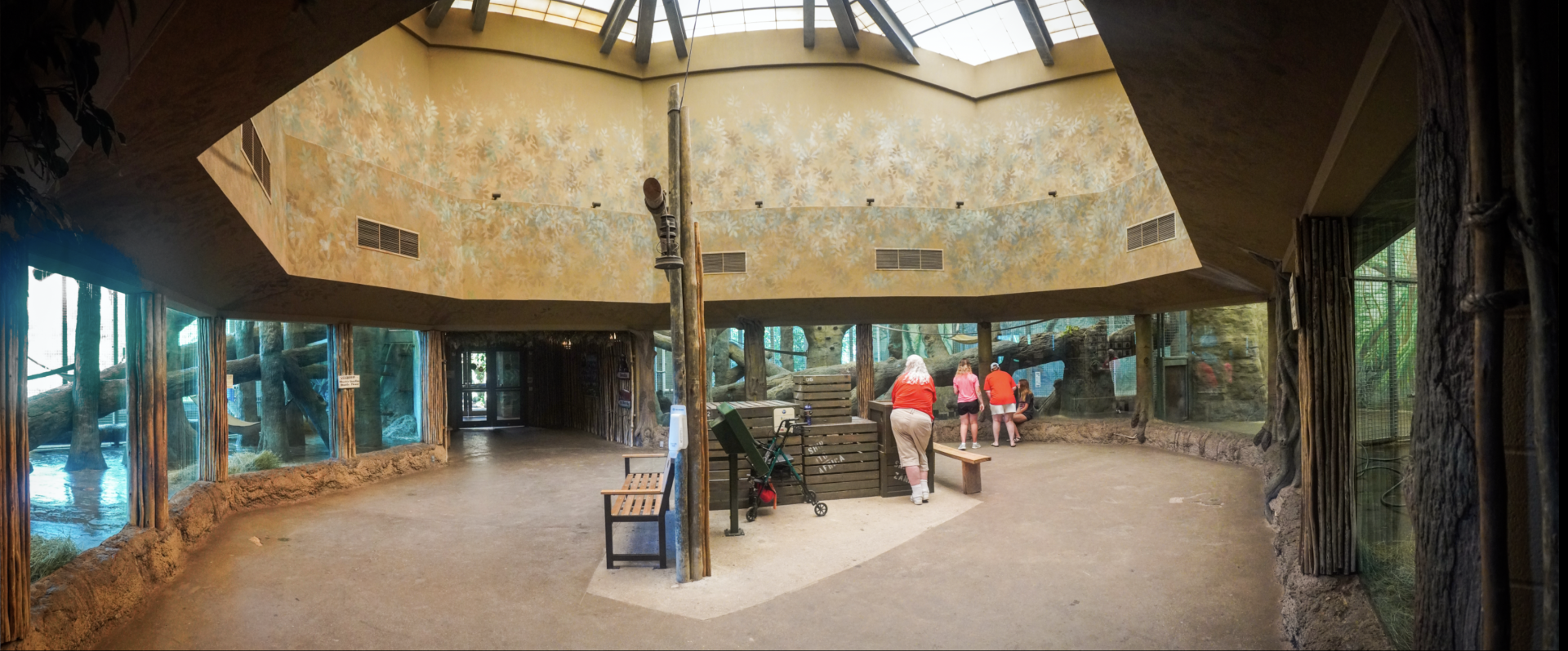 Jul. 2022 - Congo Expedition - Indoor Gorilla Exhibit Panorama