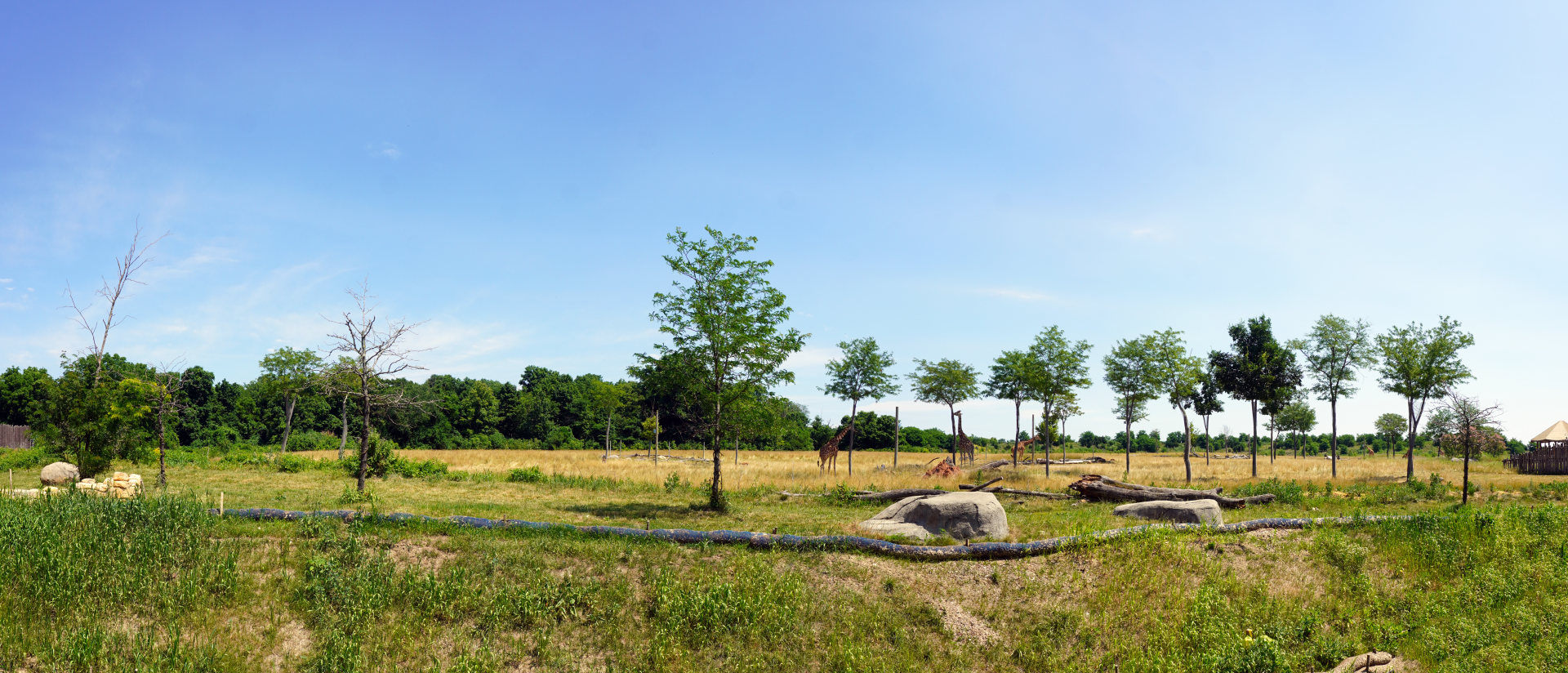 Jul. 2022 - Heart of Africa - Lion Exhibit + Main Savanna