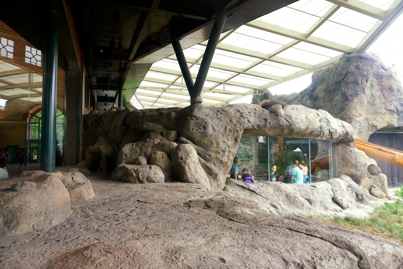 Jul. 2022 - Kovler Lion House - Lion Exhibit (Right Side)