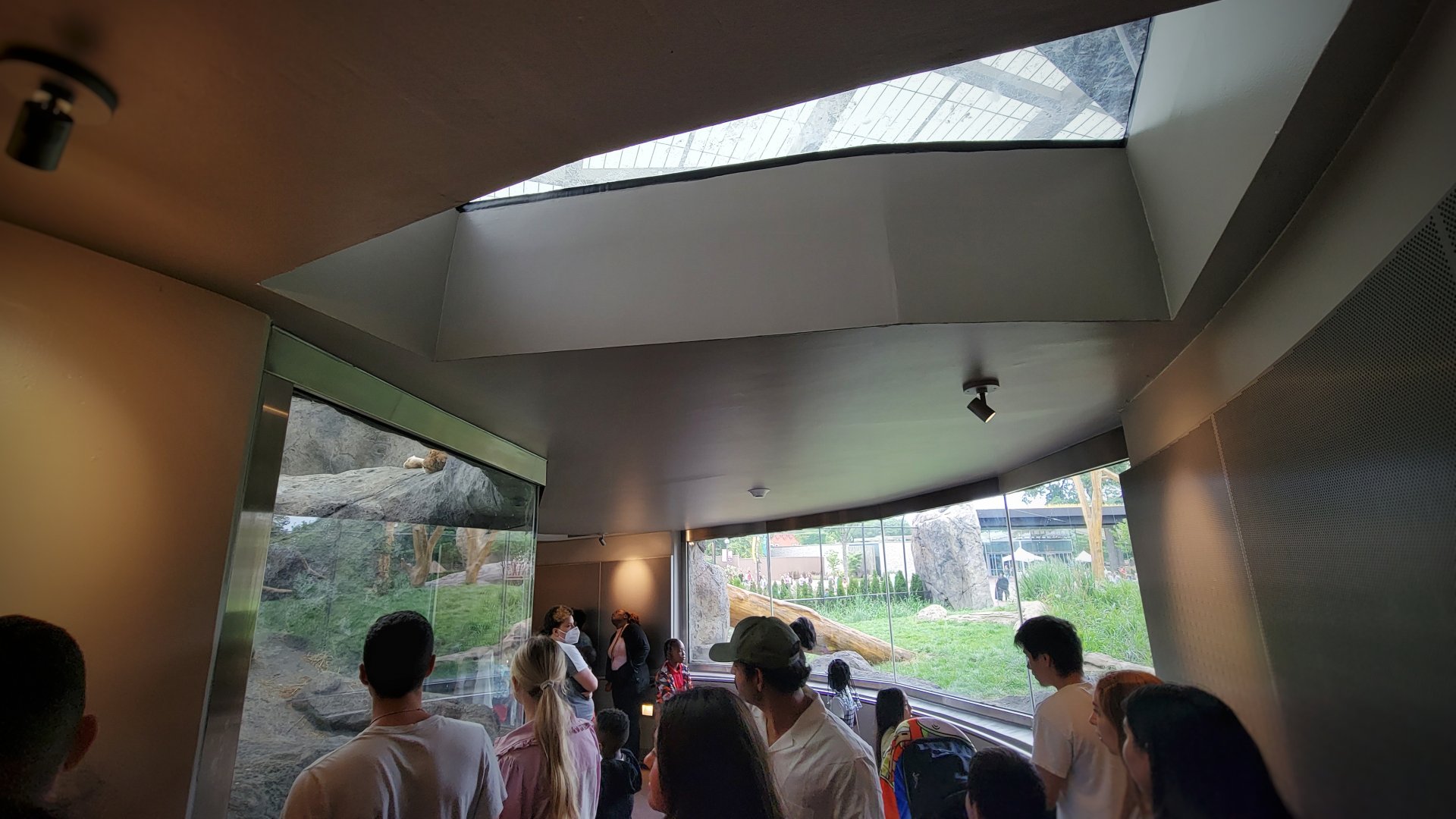 Jul. 2022 - Kovler Lion House - Lion Loop