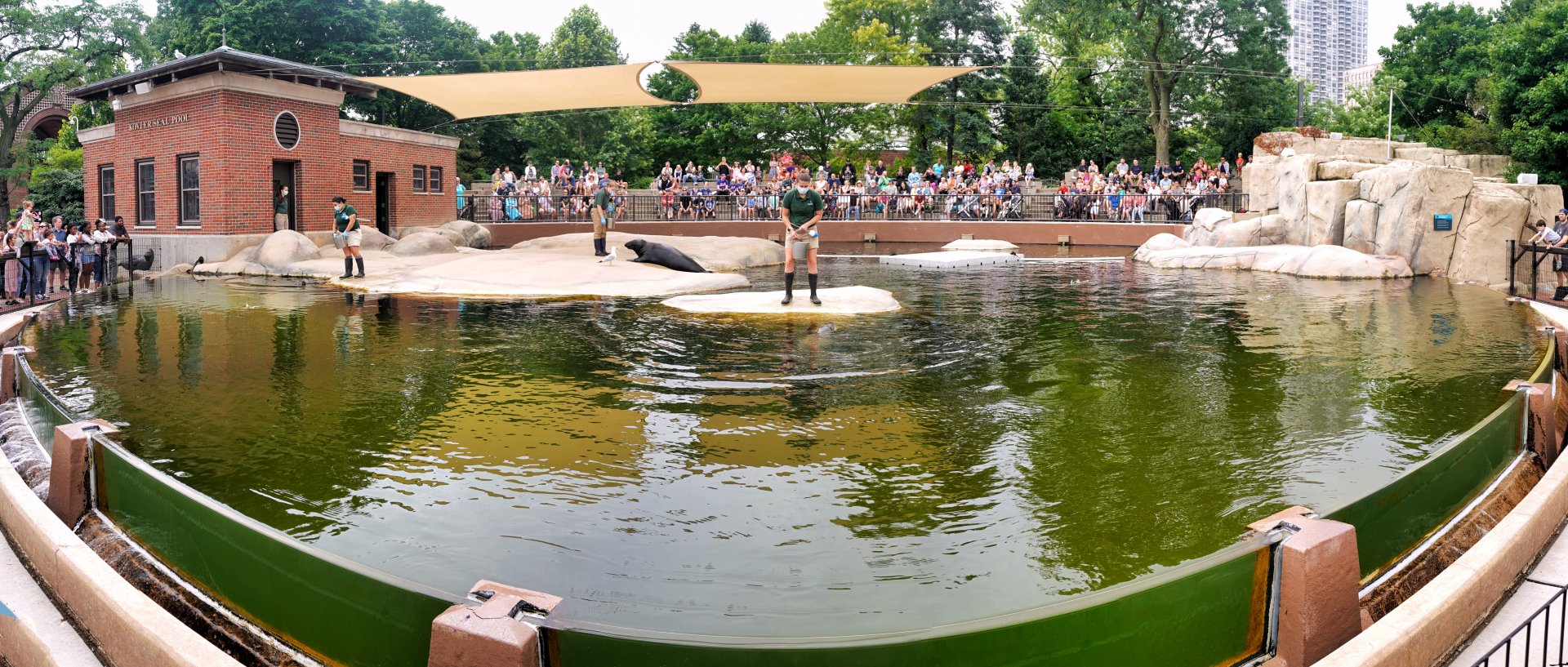 Jul. 2022 - Kovler Seal Pool Panorama