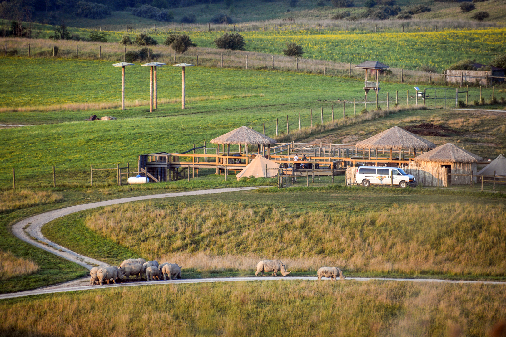 Jul. 2023 - African Pastures at Sunset